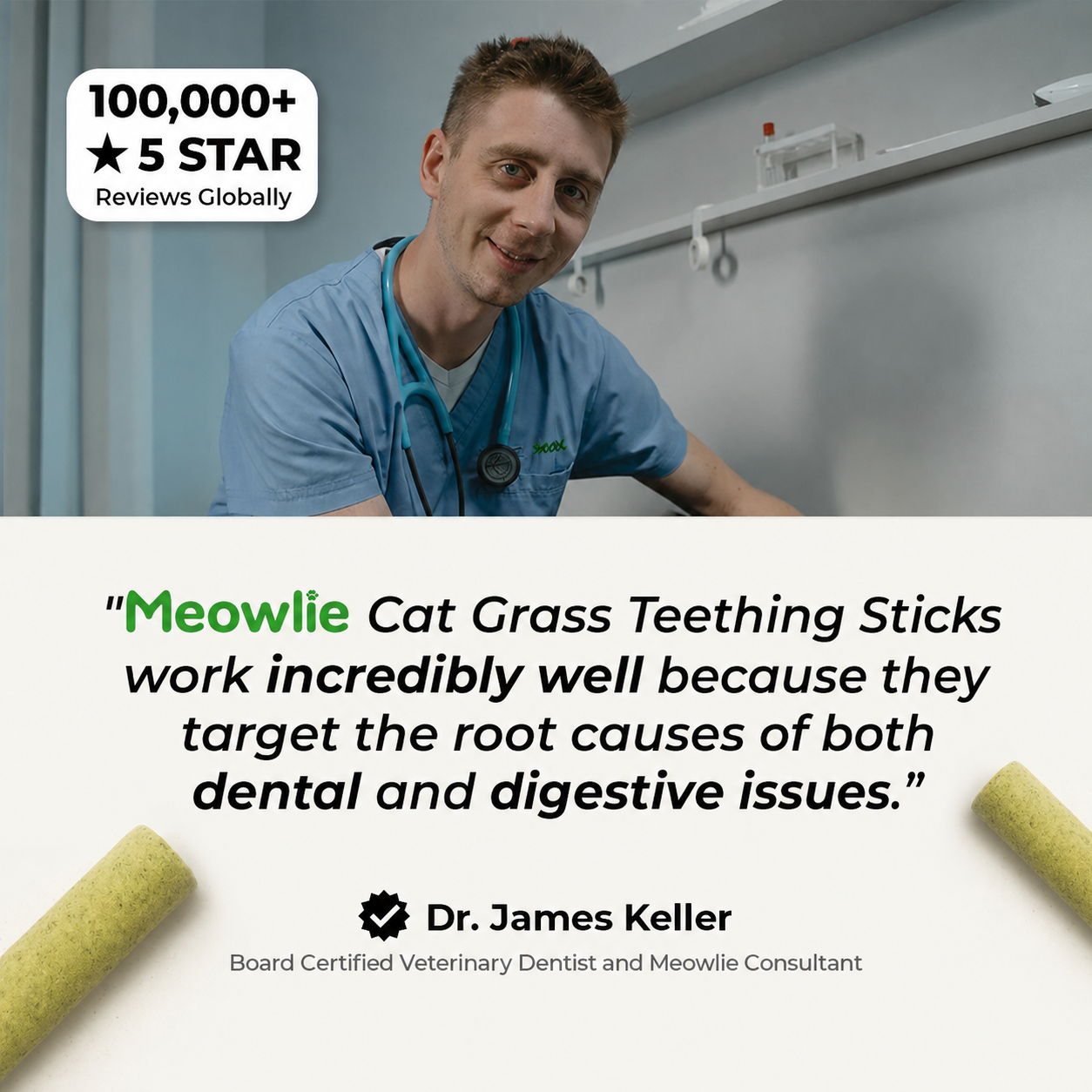 Cat Grass Teething Sticks
