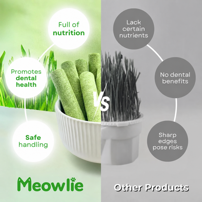 Cat Grass Teething Sticks