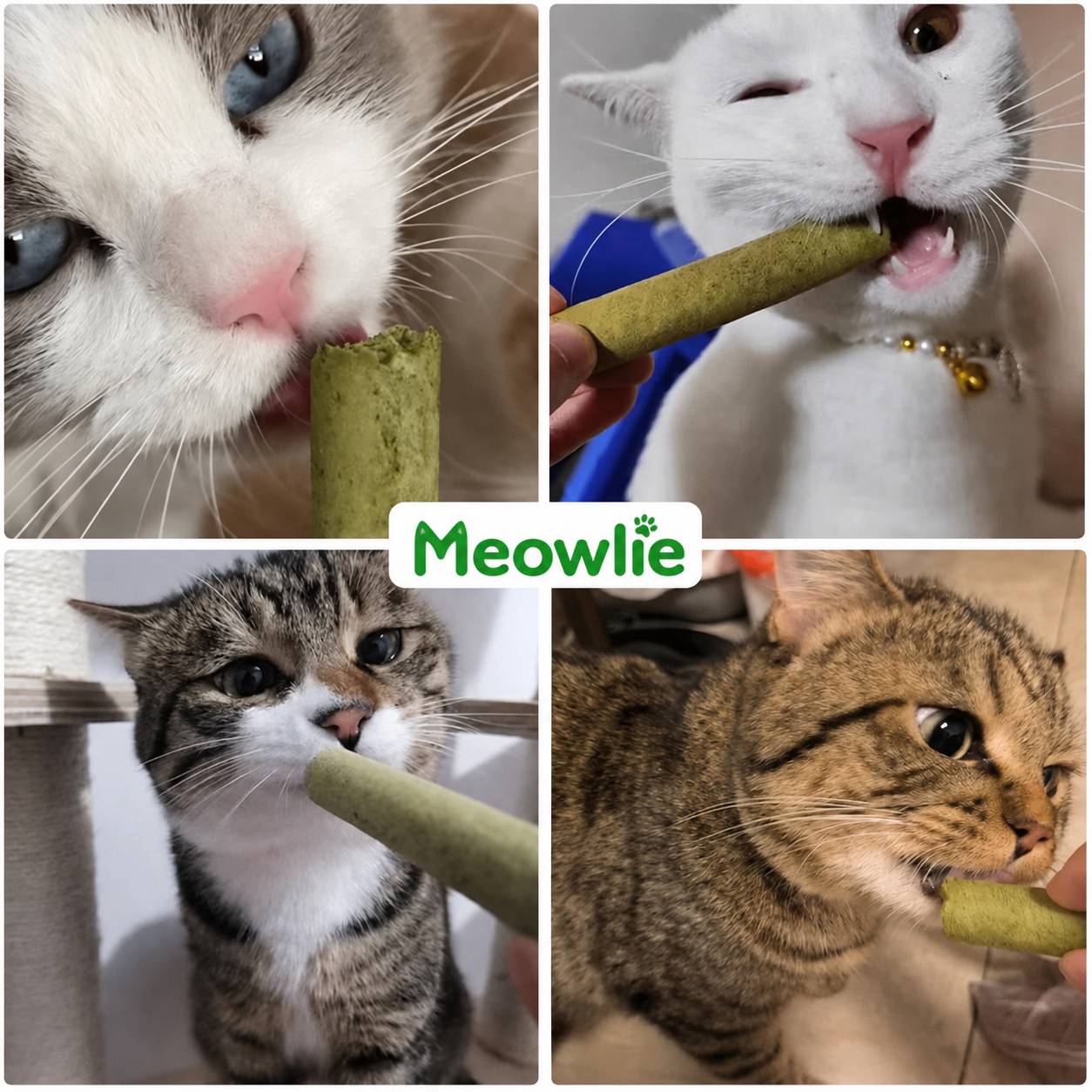 Cat Grass Teething Sticks