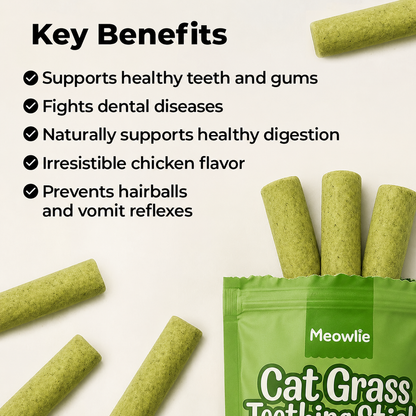 Cat Grass Teething Sticks